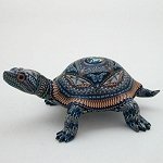 Jon Anderson Turtle